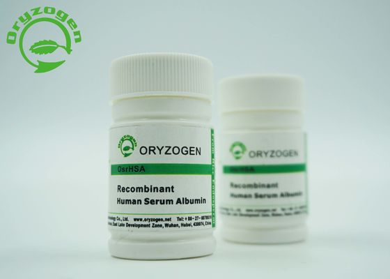 結合剤の等級のワクチン接種の研究の結合剤のための動物の自由な組換えの人間のアルブミンのrHSA