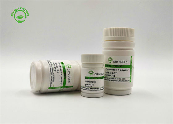 29kD自動抽出のための組換えのプロティナーゼKの貯蔵液20mg/ml