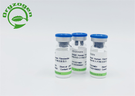 Fibronectin FNは皮の養うことのための粉を凍結乾燥させた
