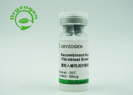 CAS 106096-93-9の組換えの人間のbFGFのrbFGFの表現される米の穀物を成長因子