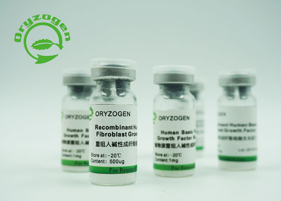 高い生物活性の化粧品のための組換えの基本的な繊維芽細胞の成長因子BFGF