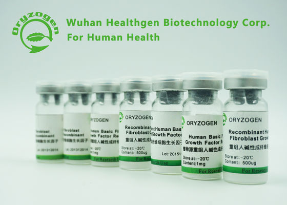高い生物活性の化粧品のための組換えの基本的な繊維芽細胞の成長因子BFGF