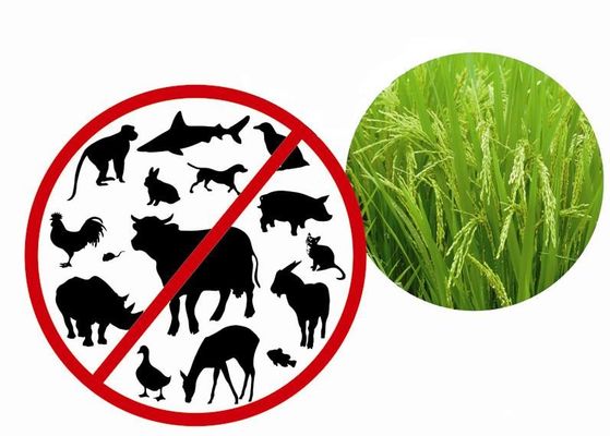 組換え蛋白質は非動物の原料の内毒素が付いている植物からより少ない0.125EU/ugを浄化した