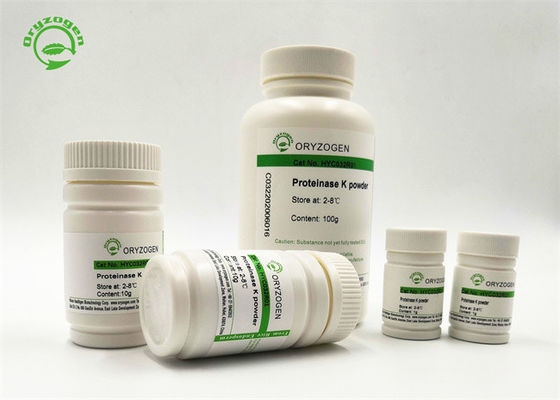 Oryzogen 29kDaのプロティナーゼK組換えPCRの等級はPichia Pastorisからの粉を凍結乾燥させた