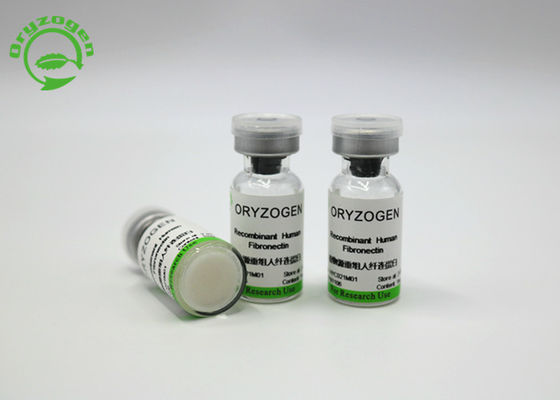 細胞培養中型HYC021M01のための220 KDaの高い純度組換えのフィブロネクチン FN