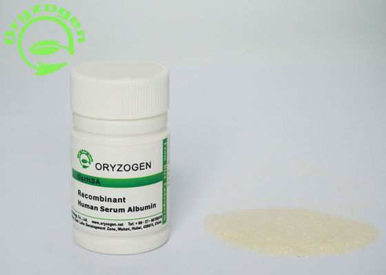 証明されたOryza Sativa OsrHSAは粉ISO9001を凍結乾燥させた