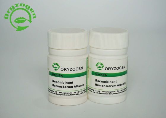 Oryzogenの米は組換えの人間のアルブミンCAS 70024-90-7を得た