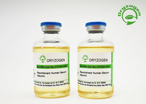 結合剤の等級の20%の集中の組換えの人間のアルブミン液体50mL