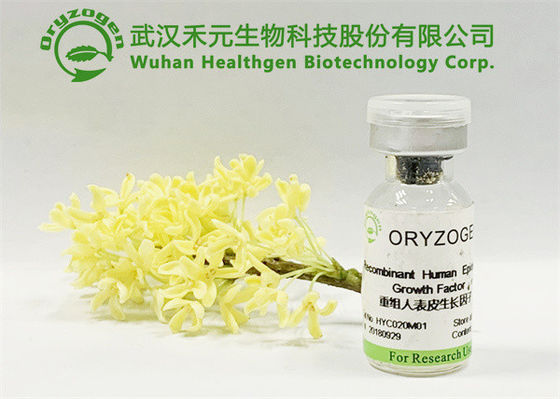 植物起源刺激する芳香自由なEGFの化粧品の原料無し