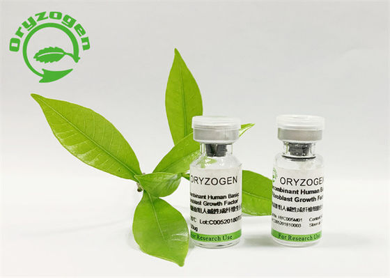 OryzaのSativa化粧品の原料基本的なFGFは粉を凍結乾燥させていた