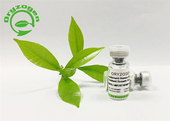 高いBioactivityと得られる反老化するbFGFの成長因子の植物