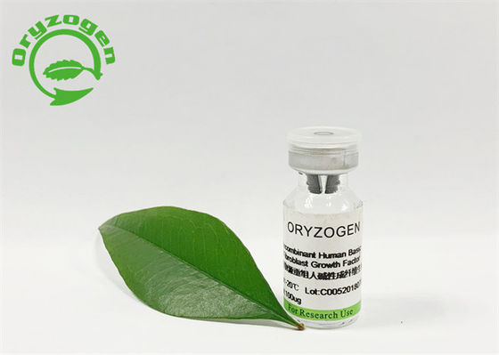 味がない95%純度のOryza Sativa基本的なFGFは粉を凍結乾燥させた