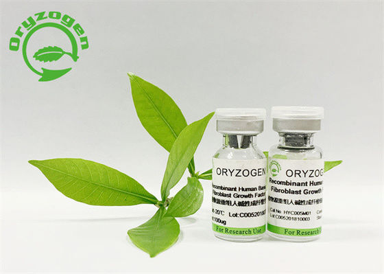 植物は承認された人間の繊維芽細胞の成長因子ISO9001を得た