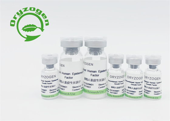 高いBioactivity植物によって得られたEGFは皮のための粉を更新したり/修理凍結乾燥させた