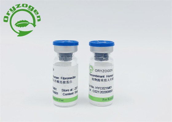 皮のアレルギー動物の部品無し自由なFibronectin FN