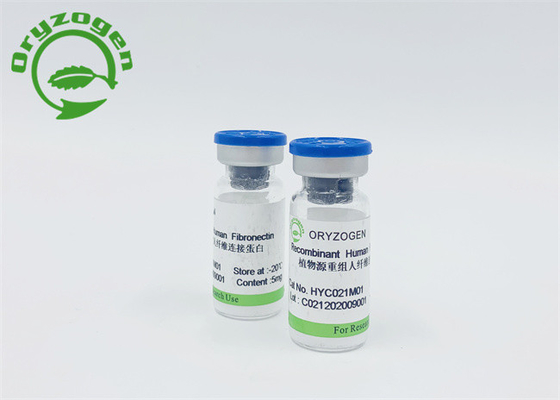 米の穀物は低い内毒素とのFibronectin FNを得た