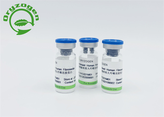 細胞の再生を促進し、修理のためのより高いBioactivity Fibronectin FN
