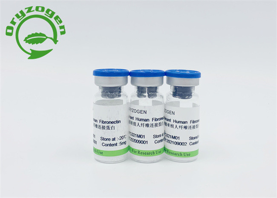 FNの検出のための米の穀物組換えの人間のFibronectin
