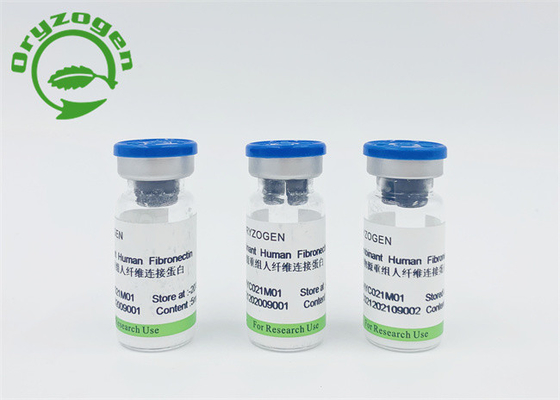 動物の部品自由な組換えの人間のFibronectin CAS 86088-83-7