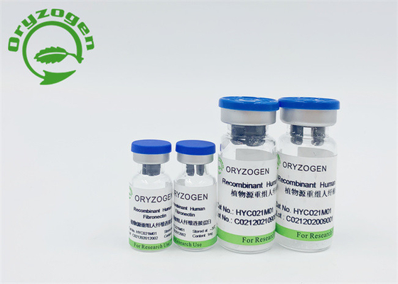 Oryza Sativa組換えの人間のFibronectinは粉を凍結乾燥させた